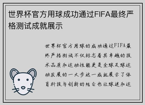 世界杯官方用球成功通过FIFA最终严格测试成就展示